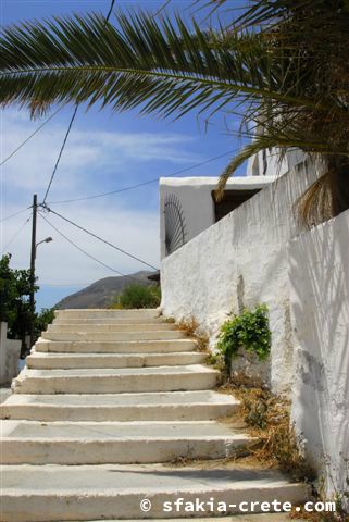 Photo report of a trip around Sfakia, Crete, May 2006